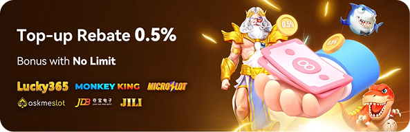 Top-up Rebate 0.5%